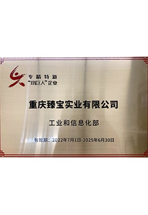 国家级专精特新“小巨人”企业