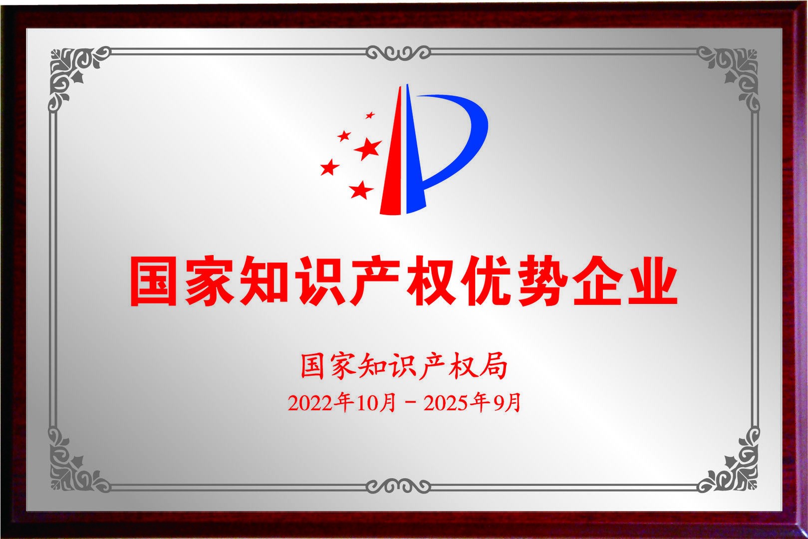 National Intellectual Property Advantage Enterprise