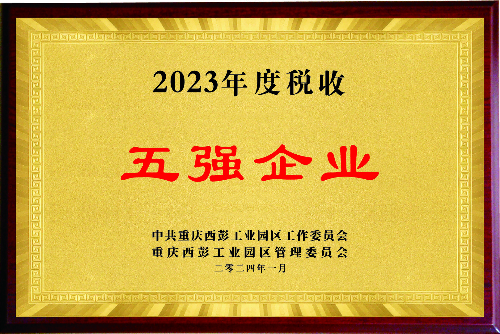 2023年度税收五强企业
